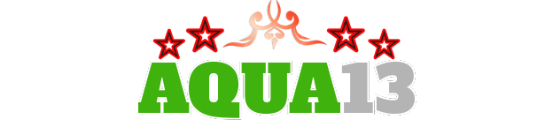 Logo Aqua13